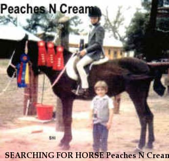 SEARCHING FOR HORSE Peaches N Cream, Near Mt. Pleasant, SC, 00000
